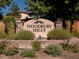 Woodbury Hills Neighborhood